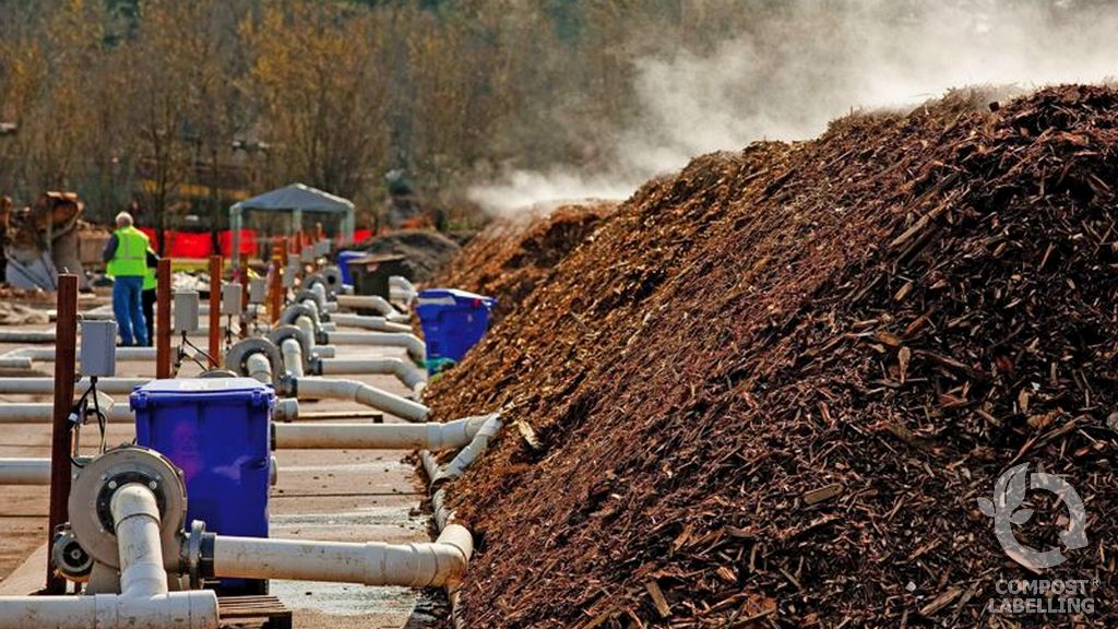 Biodegradación y compostaje