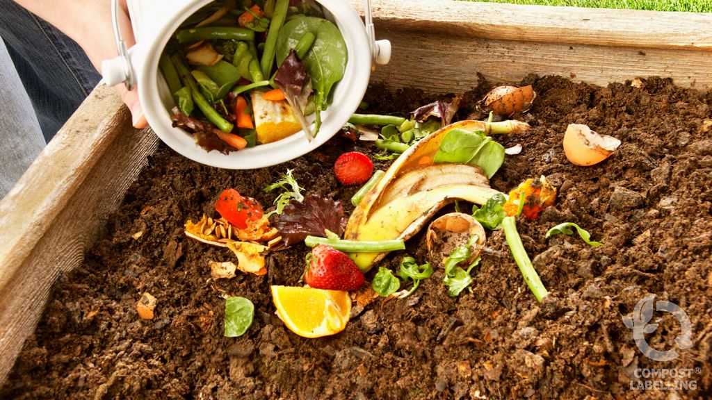 Carbon and Nitrogen Ratio in Composting