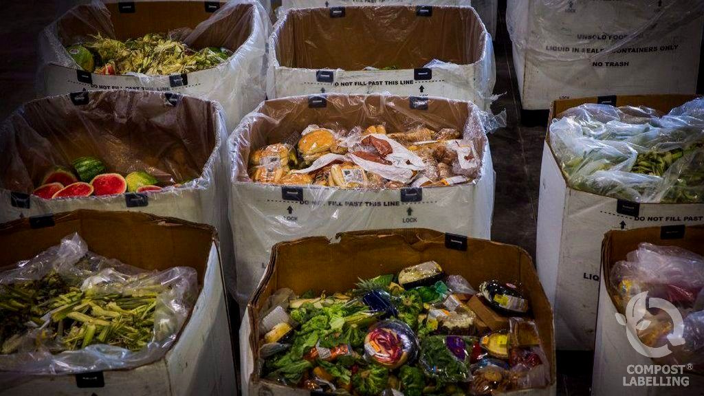 Los envases compostables limitan la cantidad de desperdicios de alimentos que van a los vertederos