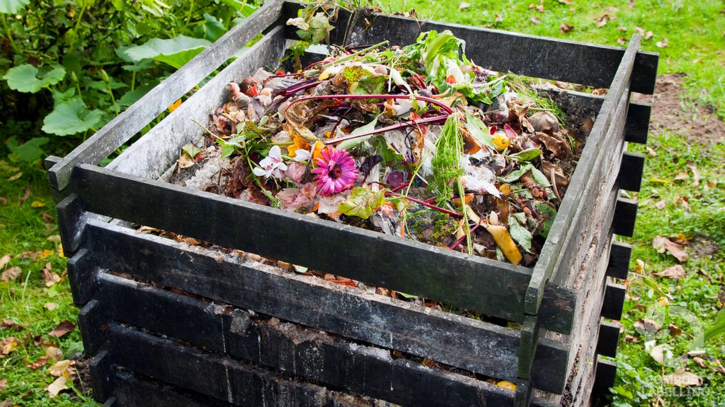 Ventajas del compostaje en línea