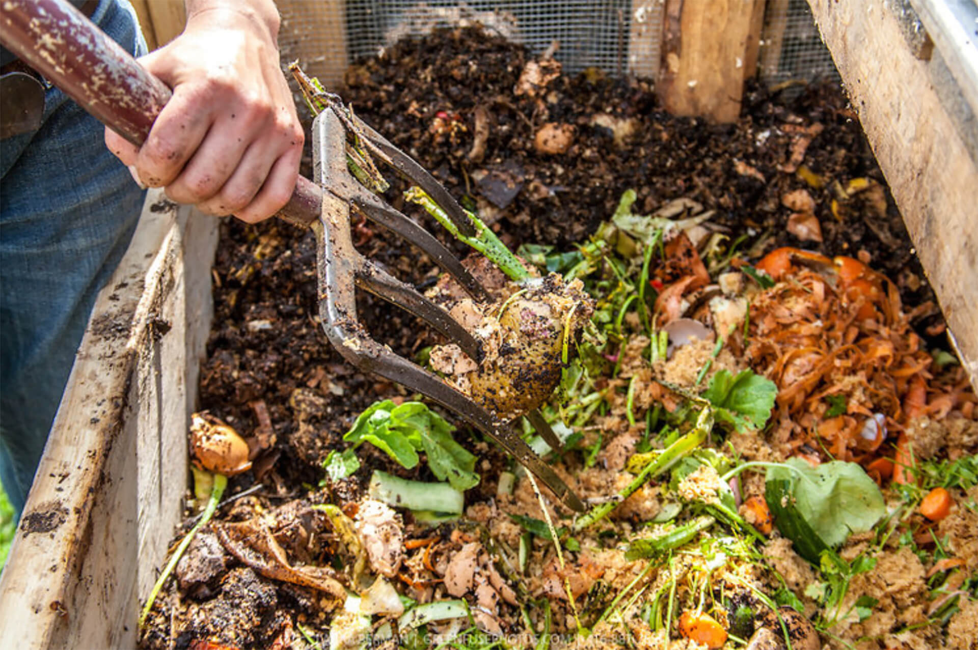 C Label Compostable Product Certification
